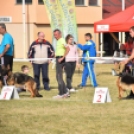 Különleges kutyaverseny Hetényegyházán