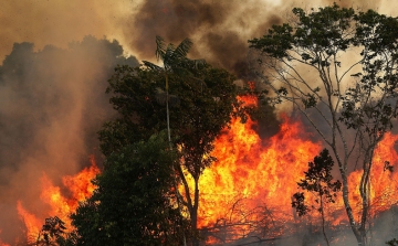 Szándékos emberi gyújtogatás okozhatja a tüzeket az Amazonas medencében
