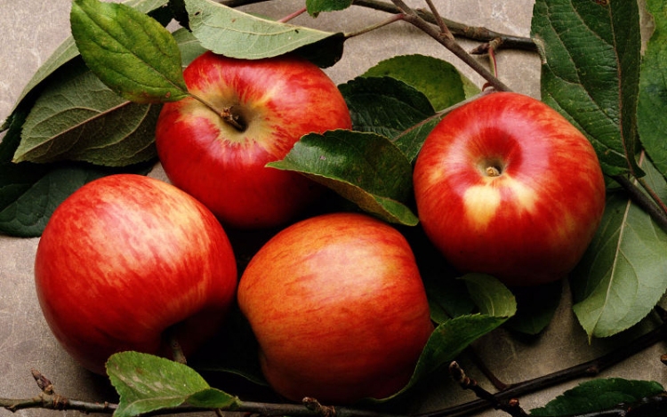Az alma idővel veszít vitamintartalmából
