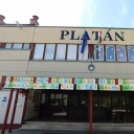 Fonálmadárkák hirdetik a Madarak és Fák Napját a Platán Iskolában