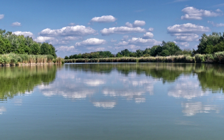 Helyreállítják a Péteri-tó természetes mederalakulatát