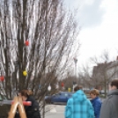 Tojásfa hirdeti városunkban Húsvét közeledtét