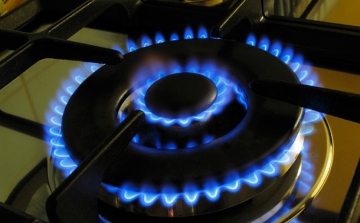 Vizsgálja a lakossági piacról kivonuló két gázszolgáltató engedélyének visszavonását az energiahivatal