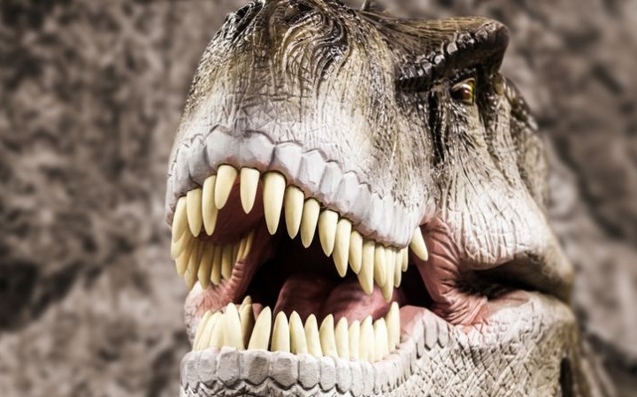 A Jurassic Park tanácsadójának dinoszaurusz kiállítása érkezik Szegedre