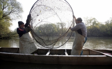 Vége a kereskedelmi célú halászatnak a természetes vizeken
