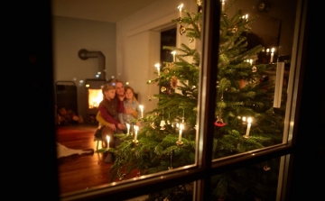 A karácsonyfa is betört az online piacra
