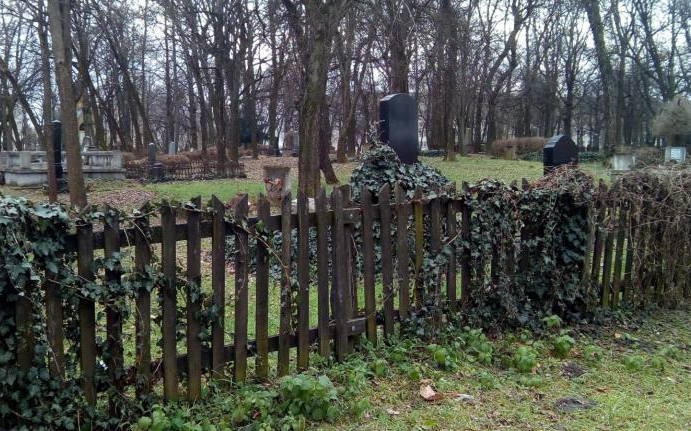 Halott férfit találtak a régi református temető mellett Halason