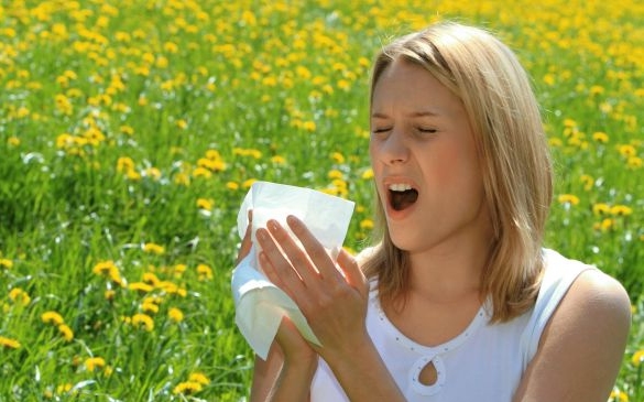 Pollenhelyzet - A következő napokban is komoly tüneteket okozhat a parlagfű