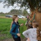 Családi délutánt rendeztek a Gyepmesteri Telepen