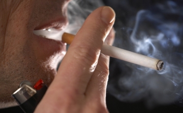 A dohányzás teljes közterületi tiltásért indulhat népszavazás