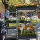 Virágok borították el a városközpontot