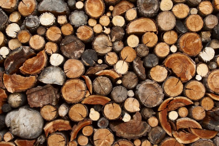 Internetről tűzifát?