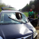 Brutális őzbaleset, a vad az utastérbe csapódott Lakiteleknél