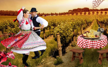 Nemcsak bort, hanem élményt is kínál csongrádi borfesztivál