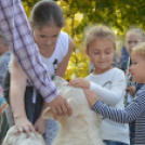 Soha nem találsz náluk különb barátot...