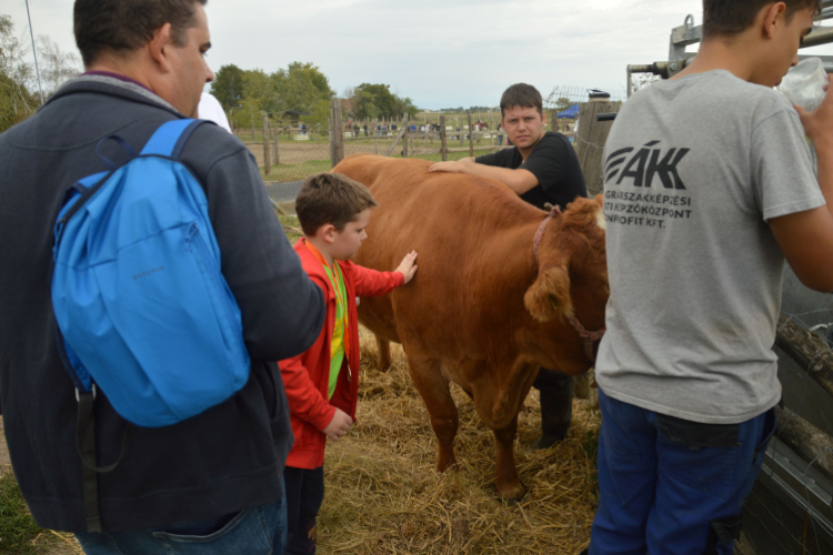 Idén is számos érdeklődőt vonzott a Mezgé piknik