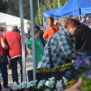 Őszi virágünnep Kiskunfélegyházán