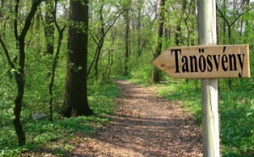 Rendbe hoznák a városi parkerdőt