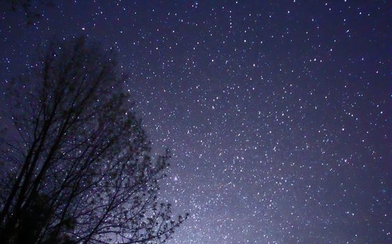 II. Csillagnéző Szalonnasütés