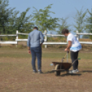 A Mezgés Pikniknek változatlan sikere van évről-évre