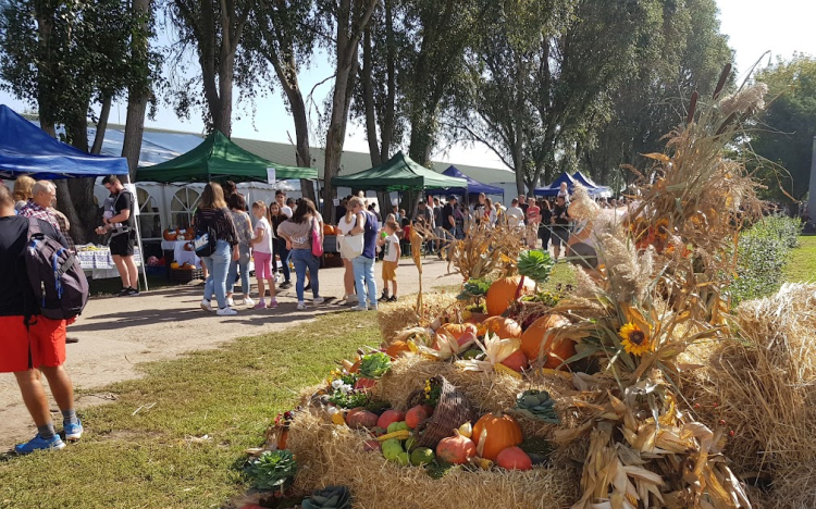 11. Mezgé Piknik – Egyedülálló élmények a mezőgazdaság és élelmiszeripar világából