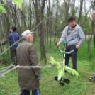 Kossuthvárosi parkszépítés