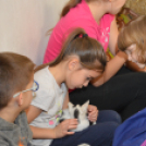 Tökéletes családi kikapcsolódást nyújtott a Mezgés Piknik