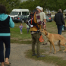 Idén is számos érdeklődőt vonzott a Mezgé piknik