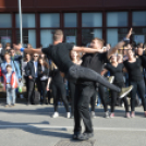 Bolondballagás 2019.