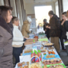 Közel másfél millió forint gyűlt össze Izabella és Lilla gyógykezelésére