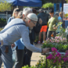 Őszi virágünnep Kiskunfélegyházán
