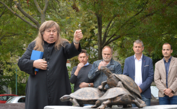 Napról-napra szépül kis városunk