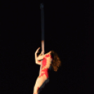 Varázskert nyílt a lombok árnyékában