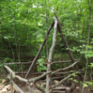 Pilisben járt a Kiskun Természetbarát SE Túra Szakosztálya