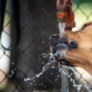 Több száz motoros vett részt idén is a Keresztény Motoros Zarándoklaton
