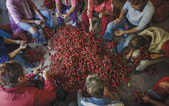 Nagyon szép múltú, ám veszélyeztetett jövőjű hungarikum