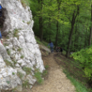 Pilisben járt a Kiskun Természetbarát SE Túra Szakosztálya