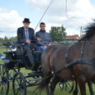 Fogathajtó versenyt rendeztek a Vasas Pályán