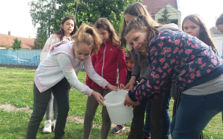 Madarak és fák napja a Batthyányban