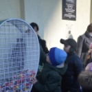 Kupakgyűjtő szívet helyeztek el a piaccsarnoknál