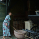 Egy éjszaka a kulturális élmények jegyében