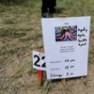 Júliusi Turul Koppány Verseny Eredmények