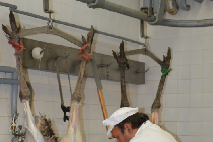 Emuból is profik a mezgés diákok