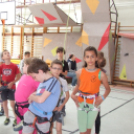 Magyar Hegy- és Sportmászó Szövetség Falmászó Versenyének Bajnoki Fordulója