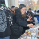 Közel másfél millió forint gyűlt össze Izabella és Lilla gyógykezelésére