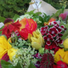 Több száz motoros vett részt idén is a Keresztény Motoros Zarándoklaton