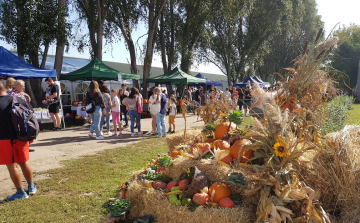 11. Mezgé Piknik – Egyedülálló élmények a mezőgazdaság és élelmiszeripar világából