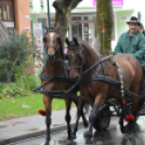 Nem számított az eső sem a szüreti felvonulóknak