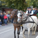 Szüreti felvonulás 2017.