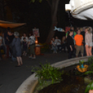 Varázskert nyílt a lombok árnyékában